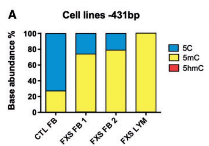 Site-specific FMR1 DNA methylation and hydroxymethylation assessment in cellular models of FXS.jpg